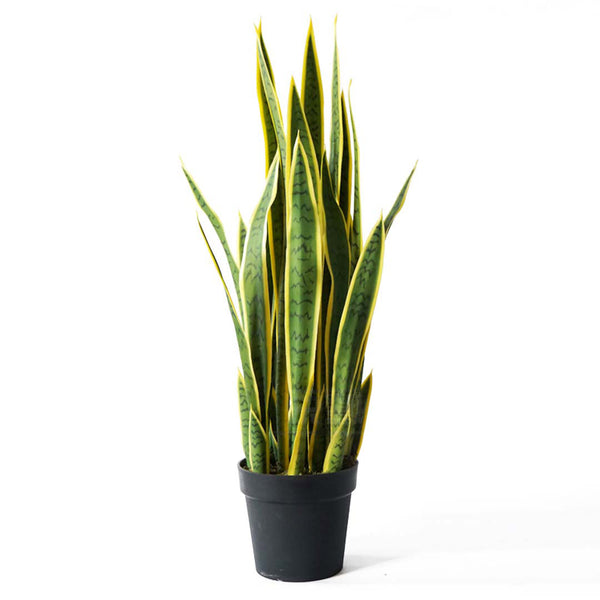 70cm Artificial Indoor Yellow Edge Tiger Piran Fake Decoration Tree Flower Pot Plant