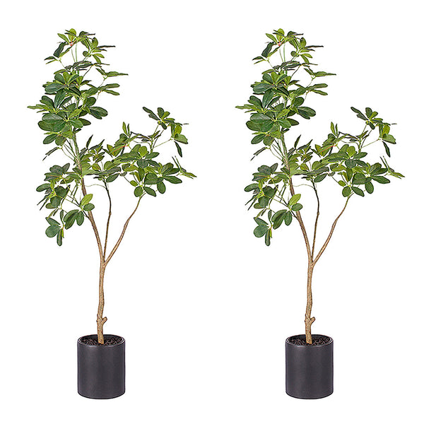 2X 160cm Artificial Natural Green Schefflera Dwarf Umbrella Tree Fake Tropical Indoor Plant Home Office Decor