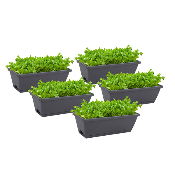 49.5cm Black Rectangular Planter Vegetable Herb Flower Outdoor Plastic Box with Holder Balcony Garden Decor Set of 5