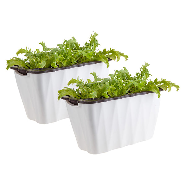 2X 35cm Small White Rectangular Flowerpot Vegetable Herb Flower Outdoor Plastic Box Garden Decor