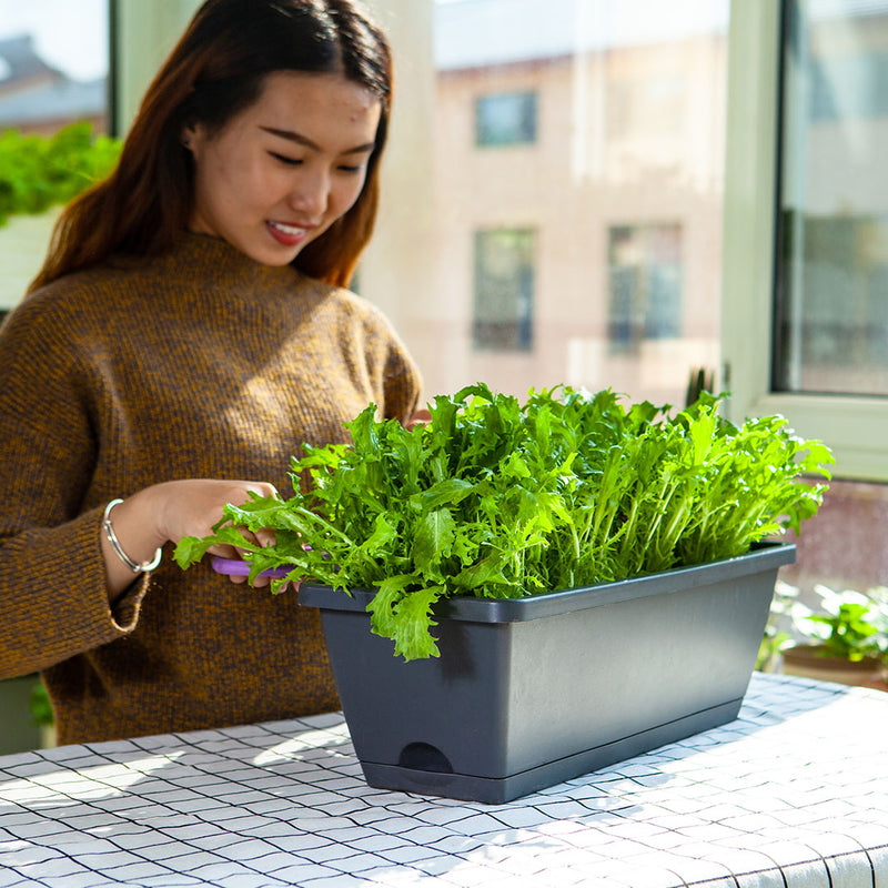 49.5cm Black Rectangular Planter Vegetable Herb Flower Outdoor Plastic Box with Holder Balcony Garden Decor Set of 2