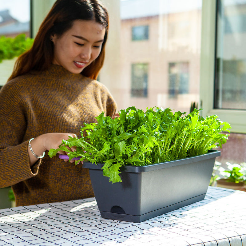 49.5cm Black Rectangular Planter Vegetable Herb Flower Outdoor Plastic Box with Holder Balcony Garden Decor Set of 5