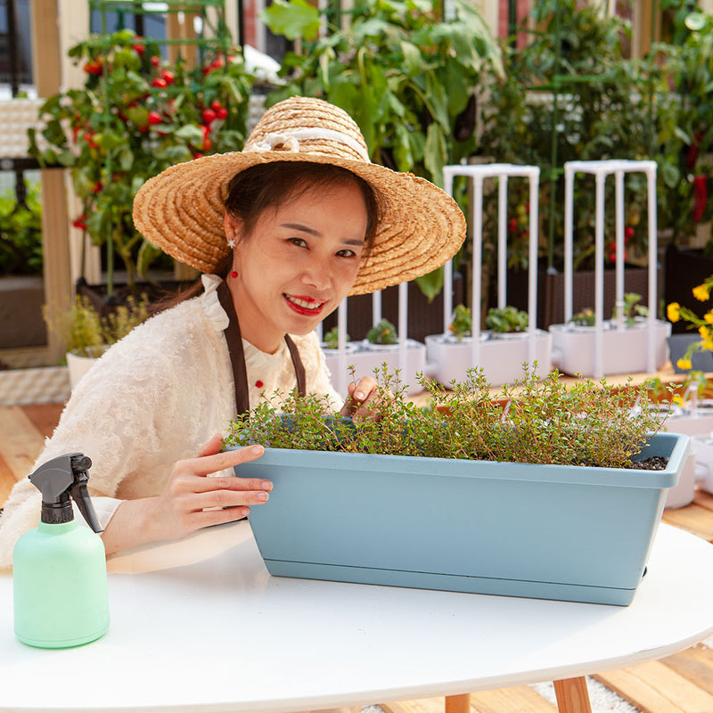 49.5cm Blue Rectangular Planter Vegetable Herb Flower Outdoor Plastic Box with Holder Balcony Garden Decor Set of 2