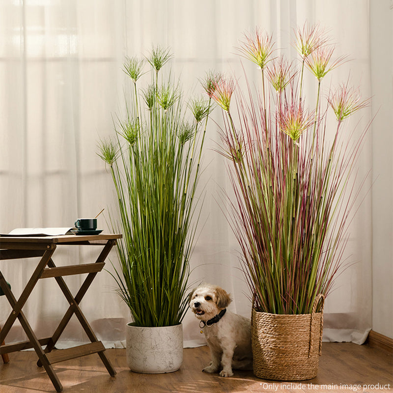 150cm Purple-Red Artificial Indoor Potted Papyrus Plant Tree Fake Simulation Decorative