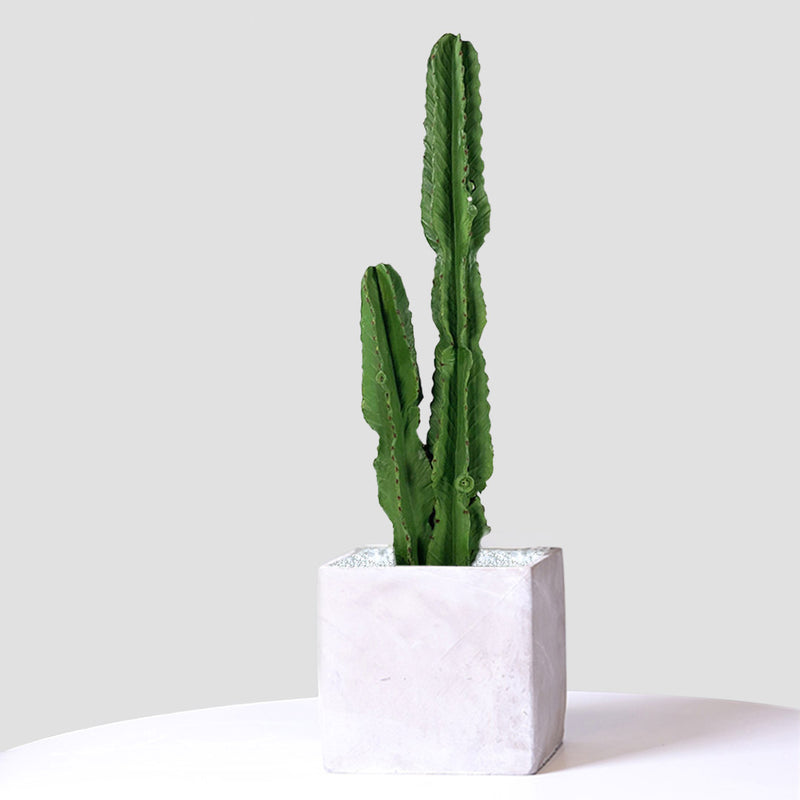 2X 95cm Green Artificial Indoor Cactus Tree Fake Plant Simulation Decorative 2 Heads