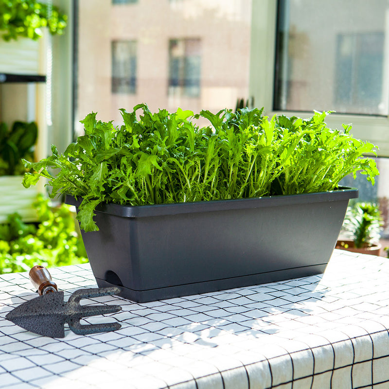 49.5cm Black Rectangular Planter Vegetable Herb Flower Outdoor Plastic Box with Holder Balcony Garden Decor Set of 4
