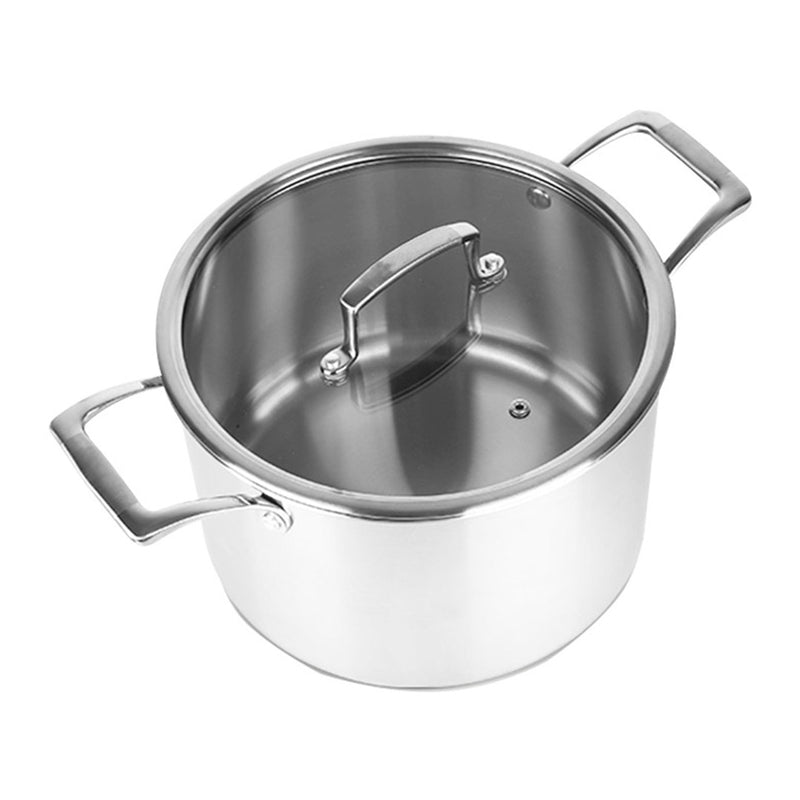 2X 22cm Stainless Steel Soup Pot Stock Cooking Stockpot Heavy Duty Thick Bottom with Glass Lid