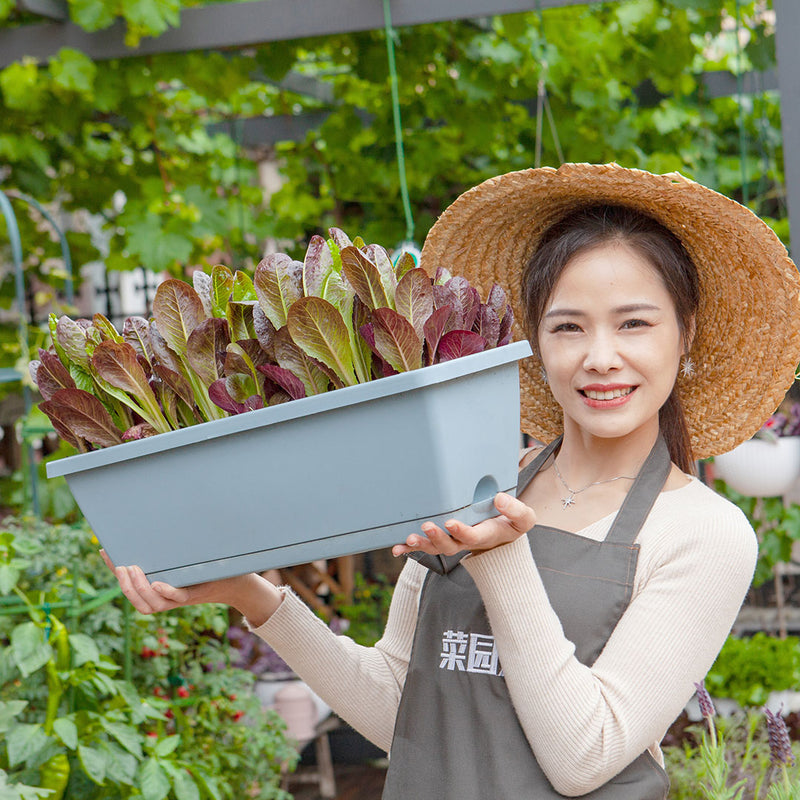49.5cm Blue Rectangular Planter Vegetable Herb Flower Outdoor Plastic Box with Holder Balcony Garden Decor Set of 2
