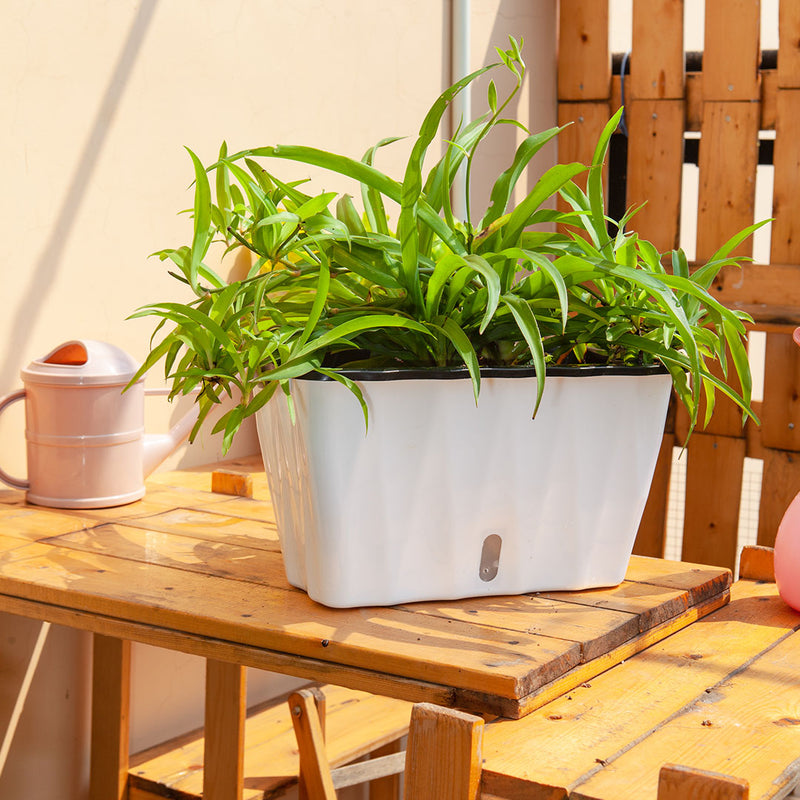 2X 35cm Small White Rectangular Flowerpot Vegetable Herb Flower Outdoor Plastic Box Garden Decor