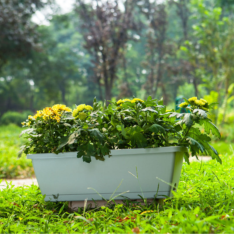 49.5cm Blue Rectangular Planter Vegetable Herb Flower Outdoor Plastic Box with Holder Balcony Garden Decor Set of 2
