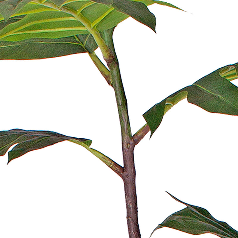 2X 150cm Artificial Natural Green Split-Leaf Philodendron Tree Fake Tropical Indoor Plant Home Office Decor