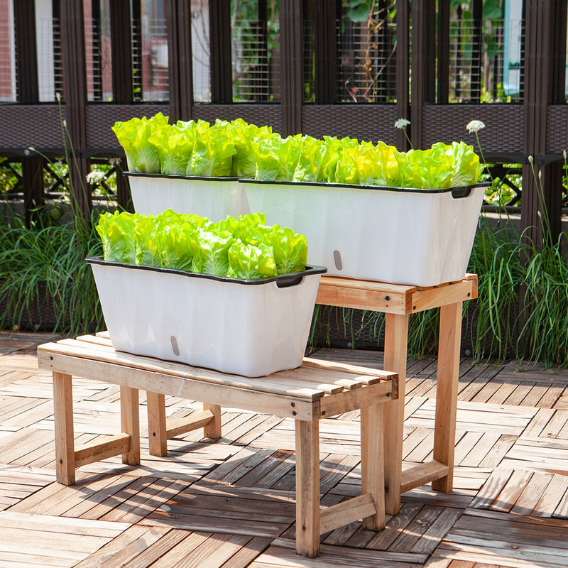 35cm Small White Rectangular Flowerpot Vegetable Herb Flower Outdoor Plastic Box Garden Decor