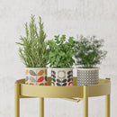 2X 2 Layer 80cm Gold Metal Plant Stand Flower Pot Holder Corner Shelving Rack Indoor Display