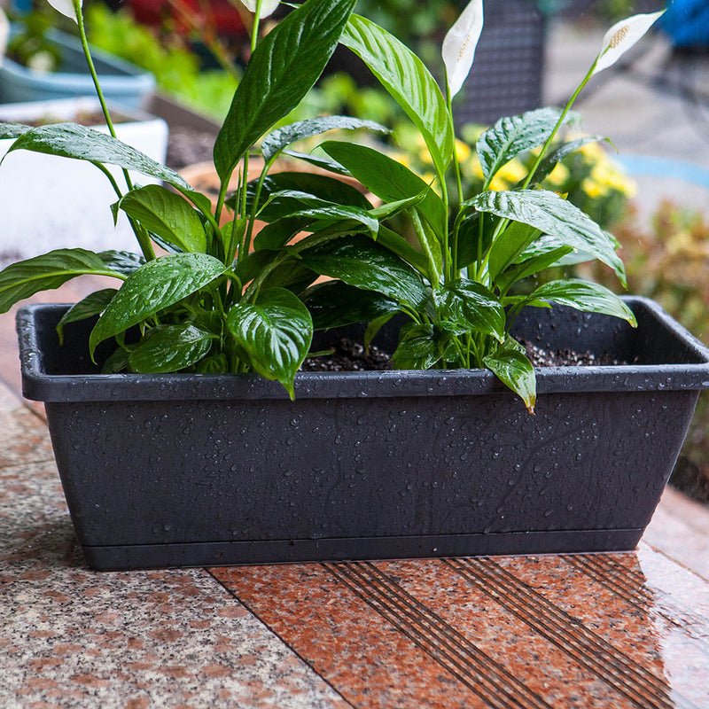 49.5cm Black Rectangular Planter Vegetable Herb Flower Outdoor Plastic Box with Holder Balcony Garden Decor Set of 4