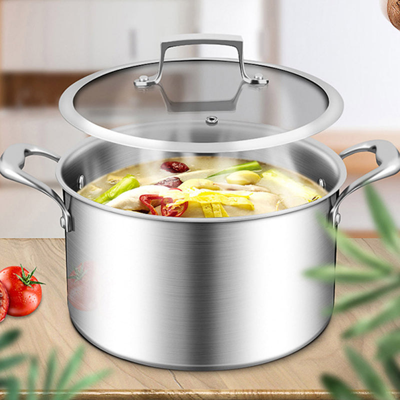 20cm Stainless Steel Soup Pot Stock Cooking Stockpot Heavy Duty Thick Bottom with Glass Lid