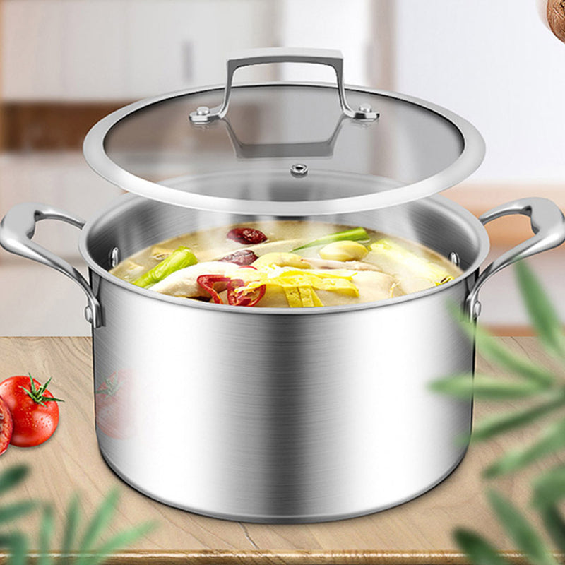 2X 22cm Stainless Steel Soup Pot Stock Cooking Stockpot Heavy Duty Thick Bottom with Glass Lid
