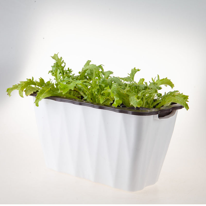 2X 35cm Small White Rectangular Flowerpot Vegetable Herb Flower Outdoor Plastic Box Garden Decor