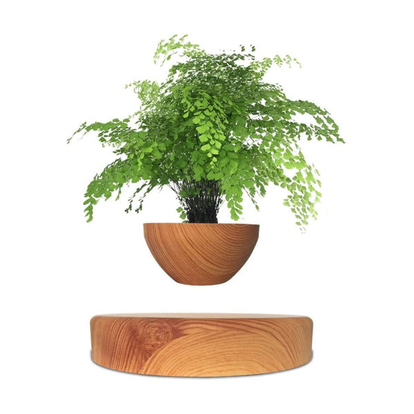 Magnetic Levitating Floating Small Succulent Plant Pot Home Decor Oak