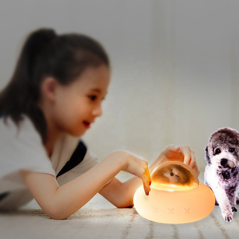 Pet Spaceship Night Lamp Touch